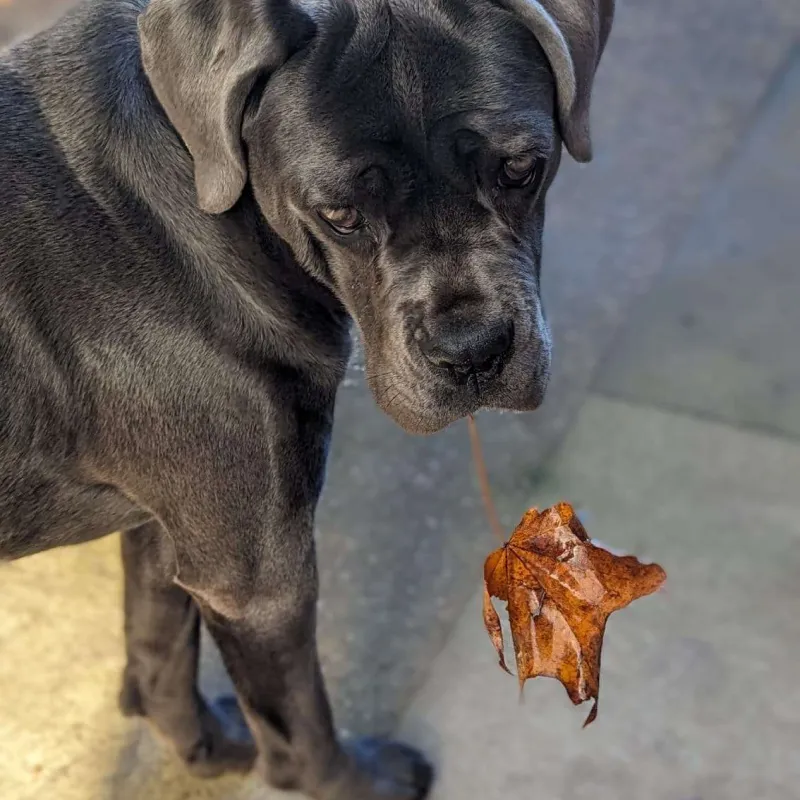 Agnes showing a leaf she found